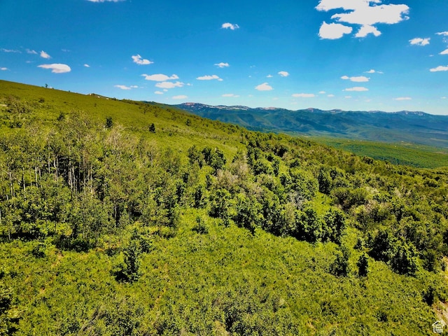 Unit G23, Fairview, UT 84629