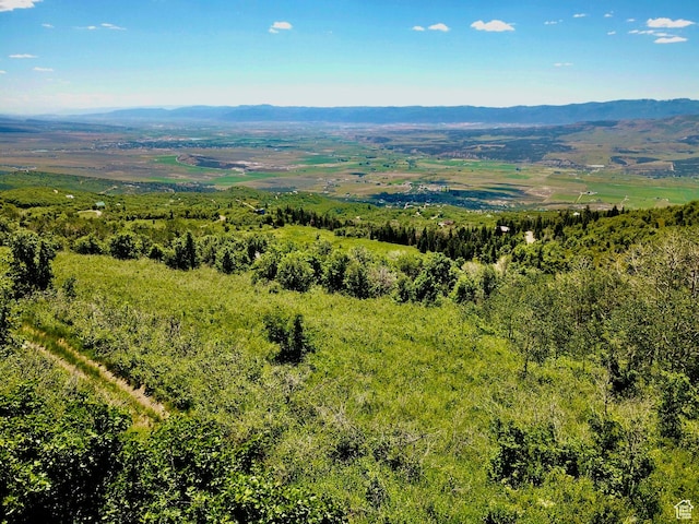 Unit G23, Fairview, UT 84629