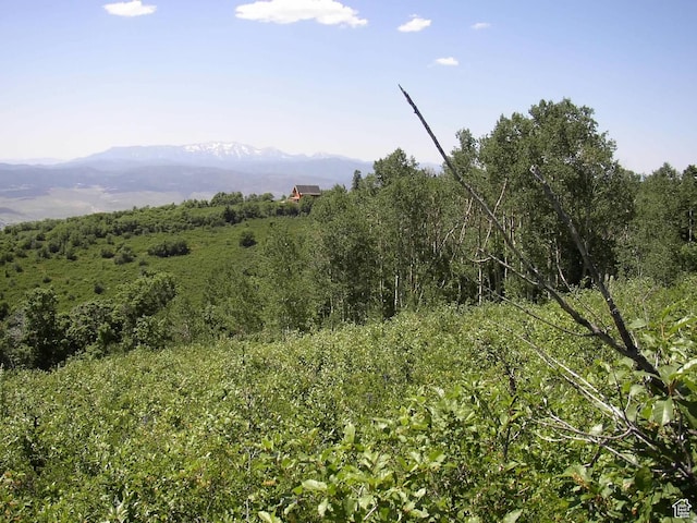 Unit G23, Fairview, UT 84629