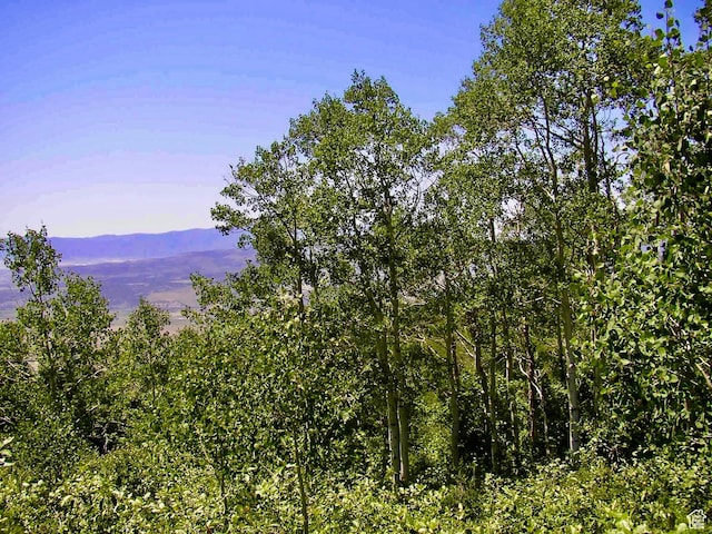 Unit G23, Fairview, UT 84629