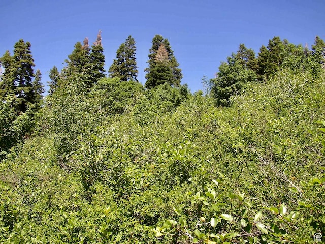 Unit G23, Fairview, UT 84629