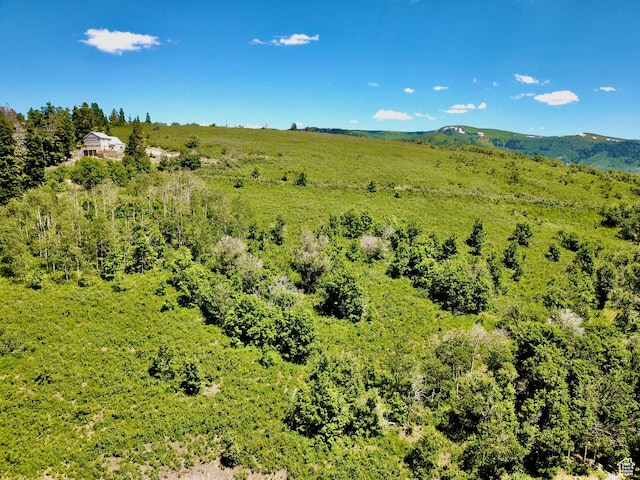 Unit G23, Fairview, UT 84629