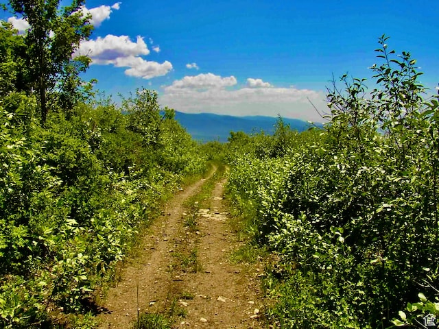 Unit G23, Fairview, UT 84629