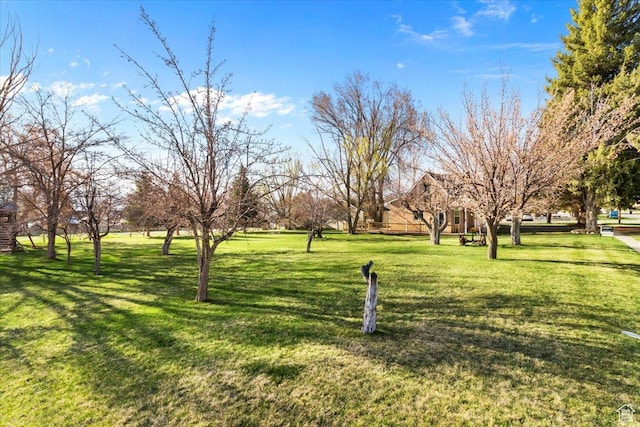 view of home's community featuring a yard