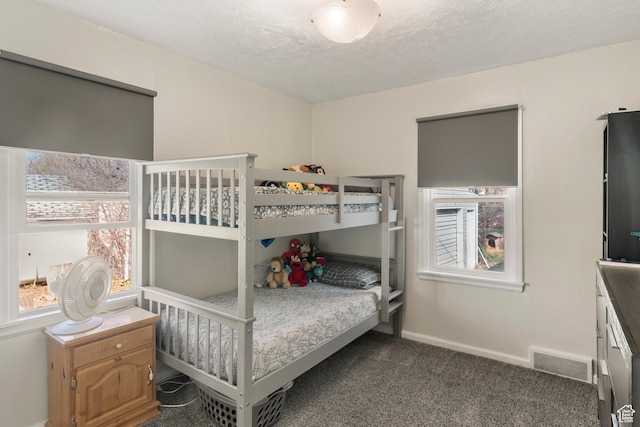 268 S Main St, Malad City, ID 83252 - bedroom with dark colored carpet, visible vents, a textured ceiling, and baseboards