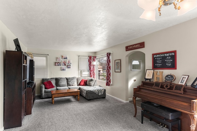 268 S Main St, Malad City, ID 83252 - living area featuring arched walkways, light colored carpet, baseboards, and a textured ceiling