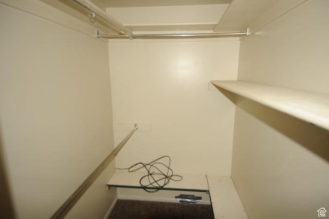 295 E 100 S, Centerfield, UT 84622 - view of spacious closet