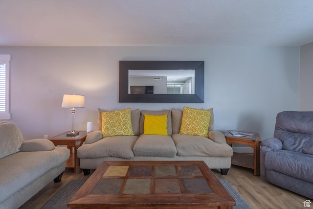 living area featuring wood finished floors