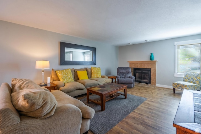 living room featuring baseboards, wood finished floors, and a fireplace