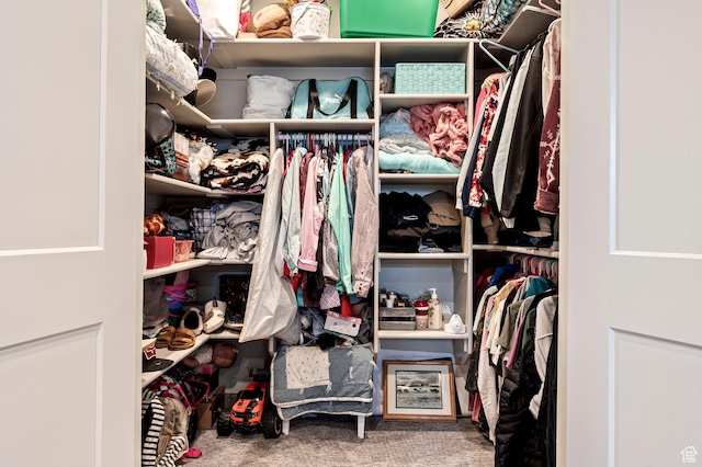 5185 N 600 E, Enoch, UT 84721 - spacious closet with carpet floors