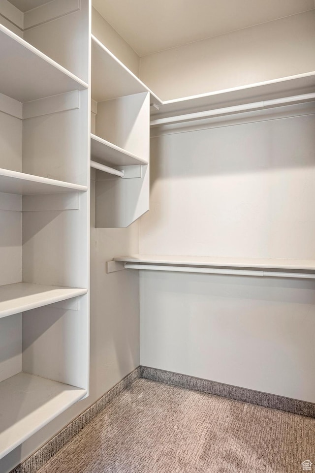 5185 N 600 E, Enoch, UT 84721 - walk in closet with carpet floors