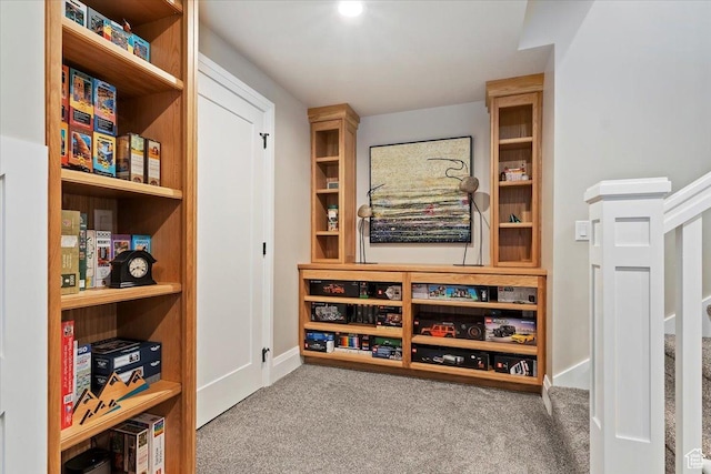 interior space with baseboards and carpet