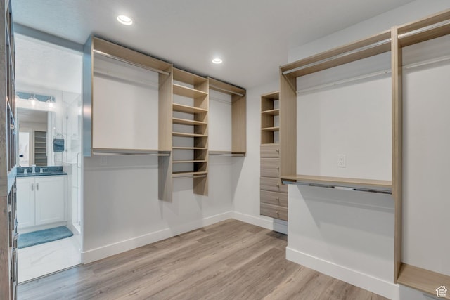 spacious closet with light wood-style flooring