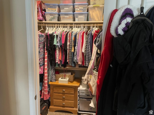 view of closet
