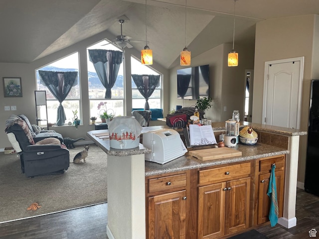 kitchen with open floor plan, vaulted ceiling, and dark wood-style flooring