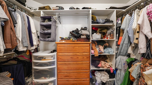 view of spacious closet