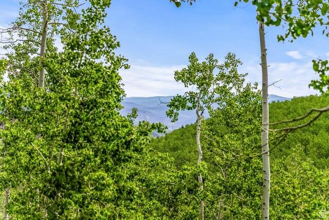 2195 Aspen Dr, Coalville, UT 84017 - photo 3