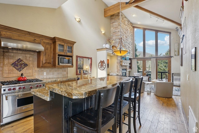 1335 Deer Valley Dr S, Park City, UT 84060 - kitchen featuring stainless steel appliances, tasteful backsplash, light wood-type flooring, and ventilation hood