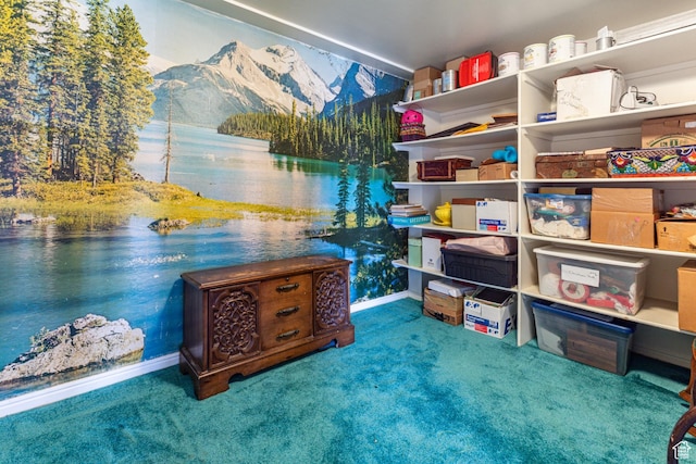 1357 E Ridgewood Ln S, Bountiful, UT 84010 - view of storage