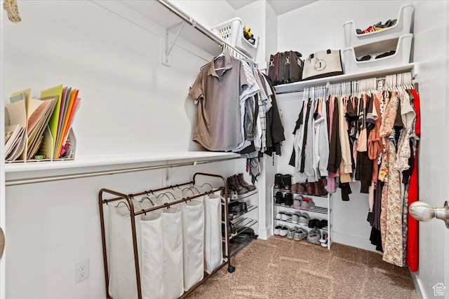 249 N 590 E, Vineyard, UT 84059 - spacious closet featuring carpet