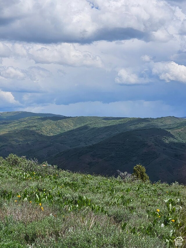 3378 Oak Rd Unit 527, Huntsville, UT 84317 - photo 12
