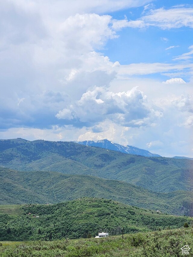 3388 N Oak Cyn Unit 526, Huntsville, UT 84317