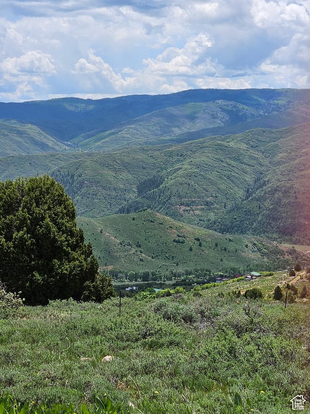 3388 N Oak Cyn Unit 526, Huntsville, UT 84317