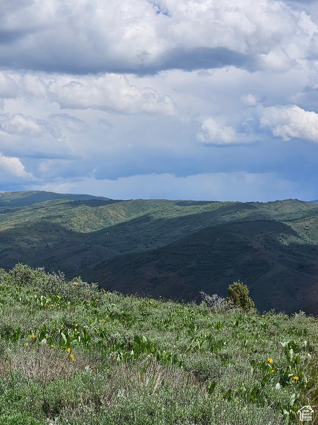 3388 N Oak Cyn Unit 526, Huntsville, UT 84317