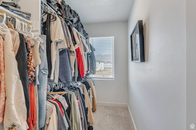 929 S 950 W, American Fork, UT 84003 - walk in closet featuring carpet flooring