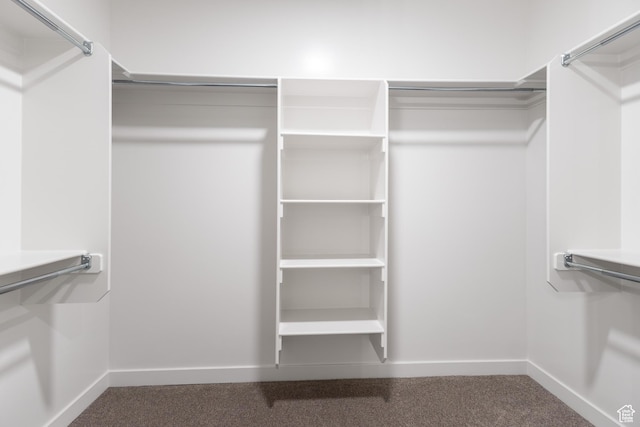 3778 S 4250 W Unit 435, West Haven, UT 84401 - walk in closet featuring carpet