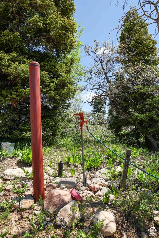 1172 W Maple Pl, Coalville, UT 84017