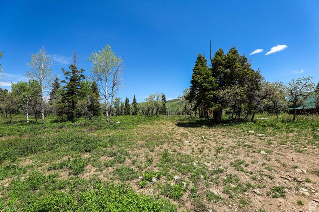 1172 W Maple Pl, Coalville, UT 84017