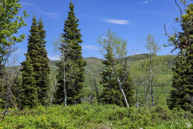1172 W Maple Pl, Coalville, UT 84017
