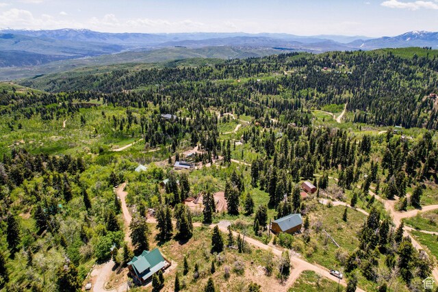 1172 W Maple Pl, Coalville, UT 84017