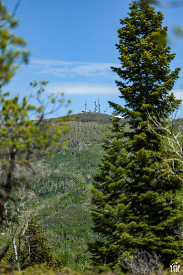 1172 W Maple Pl, Coalville, UT 84017