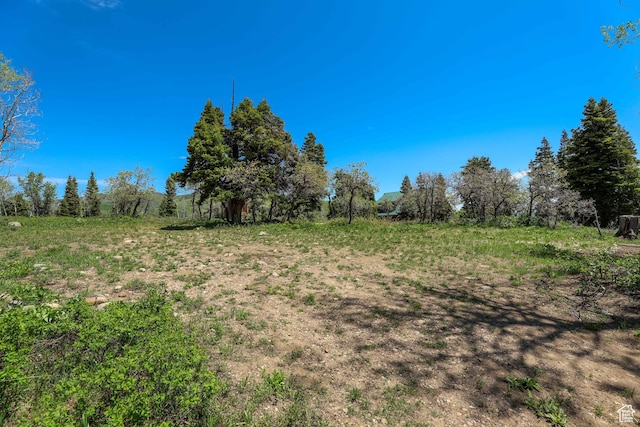 1172 W Maple Pl, Coalville, UT 84017