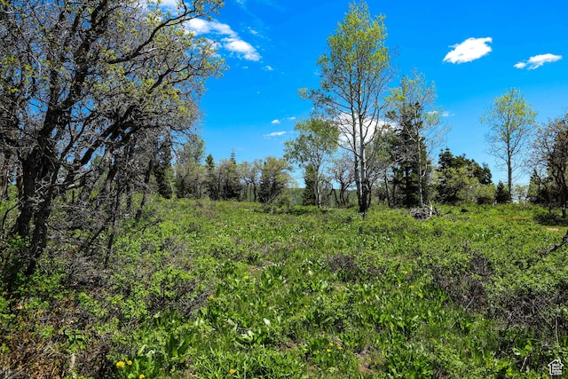 1172 W Maple Pl, Coalville, UT 84017