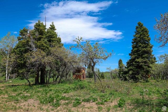 1172 W Maple Pl, Coalville, UT 84017