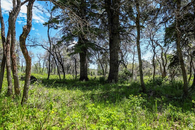 1172 W Maple Pl, Coalville, UT 84017