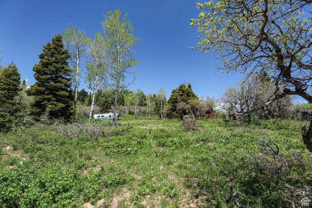 1172 W Maple Pl, Coalville, UT 84017