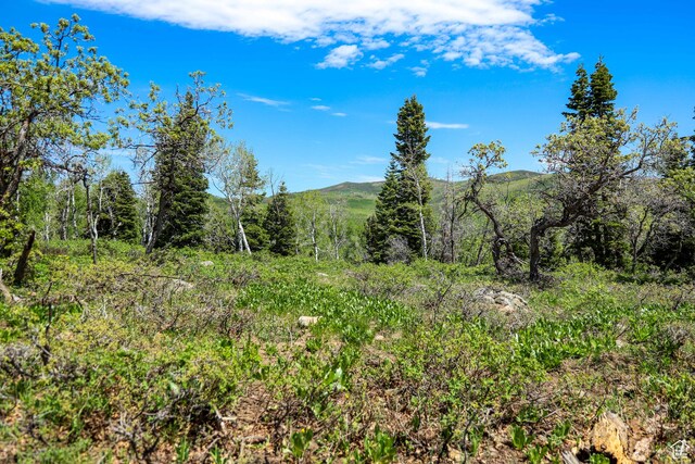1172 W Maple Pl, Coalville, UT 84017
