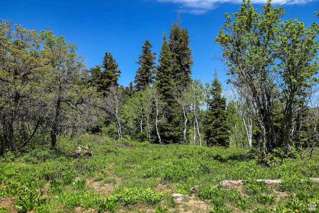 1172 W Maple Pl, Coalville, UT 84017
