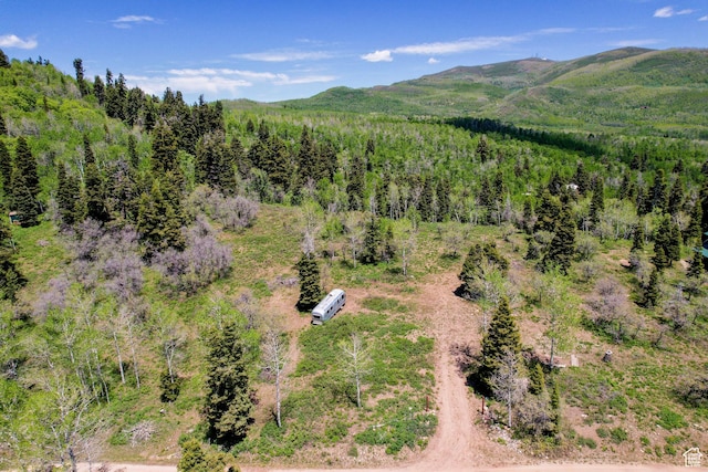 1172 W Maple Pl, Coalville, UT 84017