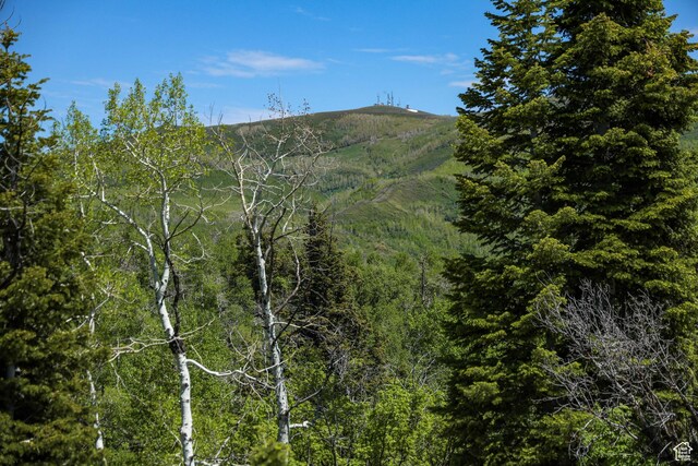 1172 W Maple Pl, Coalville, UT 84017