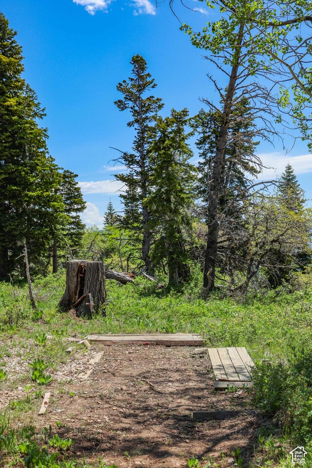 1172 W Maple Pl, Coalville, UT 84017