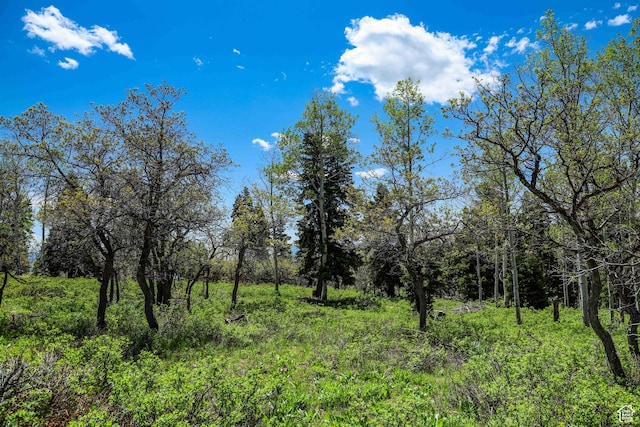 1172 W Maple Pl, Coalville, UT 84017