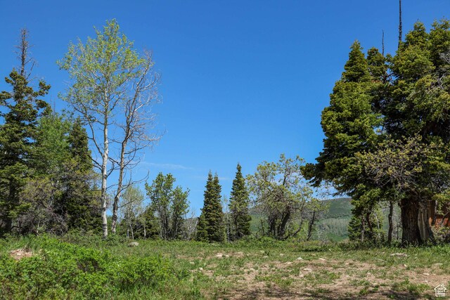 1172 W Maple Pl, Coalville, UT 84017