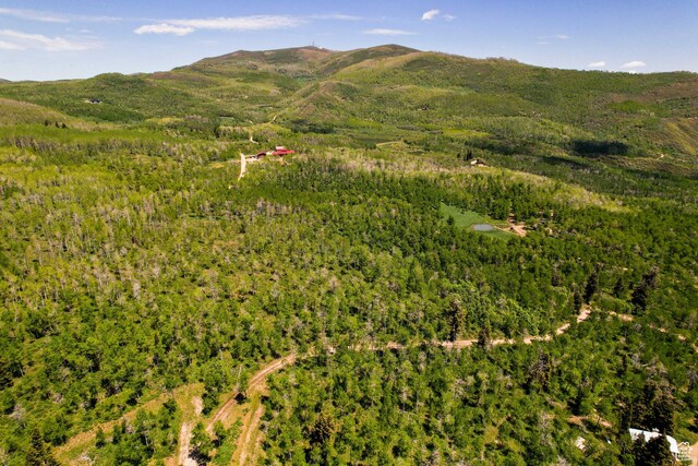 1172 W Maple Pl, Coalville, UT 84017