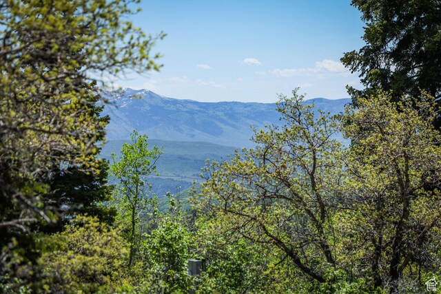 1172 W Maple Pl, Coalville, UT 84017