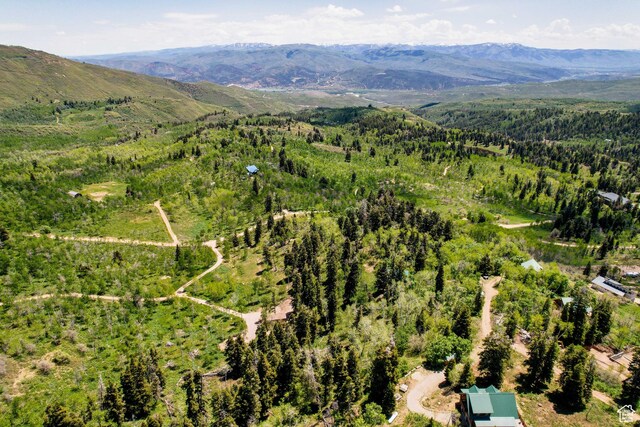 1172 W Maple Pl, Coalville, UT 84017